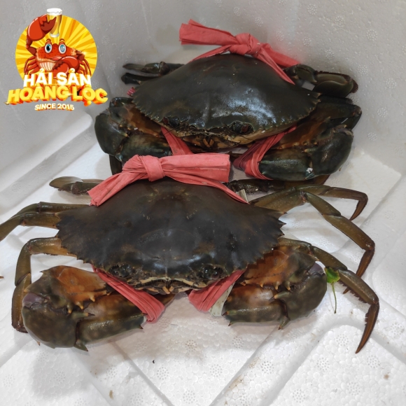 Cua Cà Mau 2con/kg