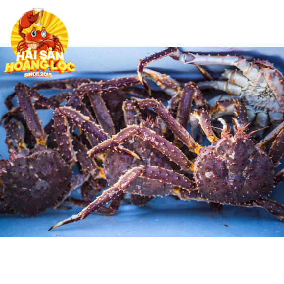 King Crab Size 0,8kg~1,2kg