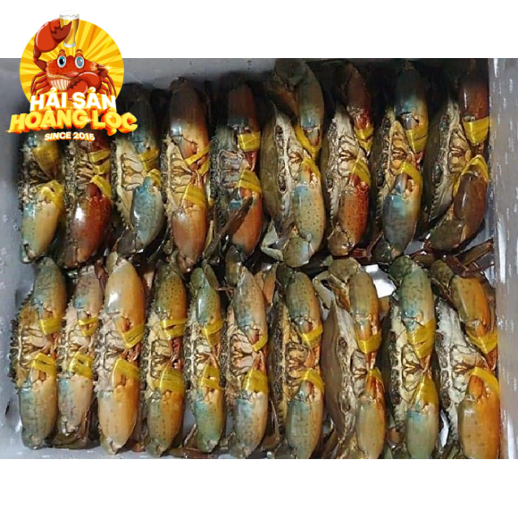 Cua Cà Mau 3con/kg