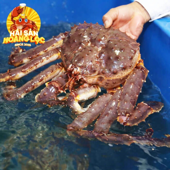 King Crab Size 1,5kg~2kg