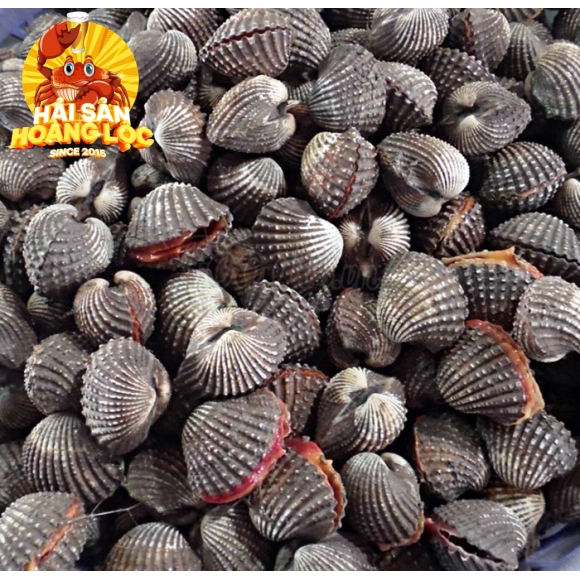 Sò huyết