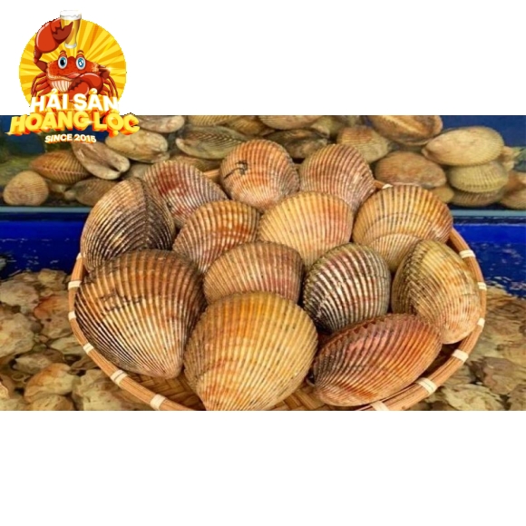 Sò dương
